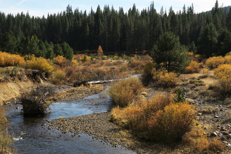 Alder Creek showing off autumn colors just past the Hwy 89 bridge crossing.