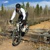 Fun little section on the Magnolia Trail in Nederland, Colorado.