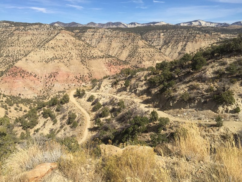 Initial climb out of the maw of the Sarlacc is a two-track reverting to singletrack and it's almost there.