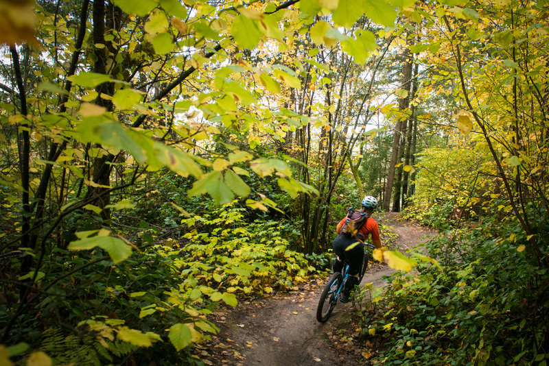A fall pedal along Hustle & Flow at Swan Creek Park, WA.