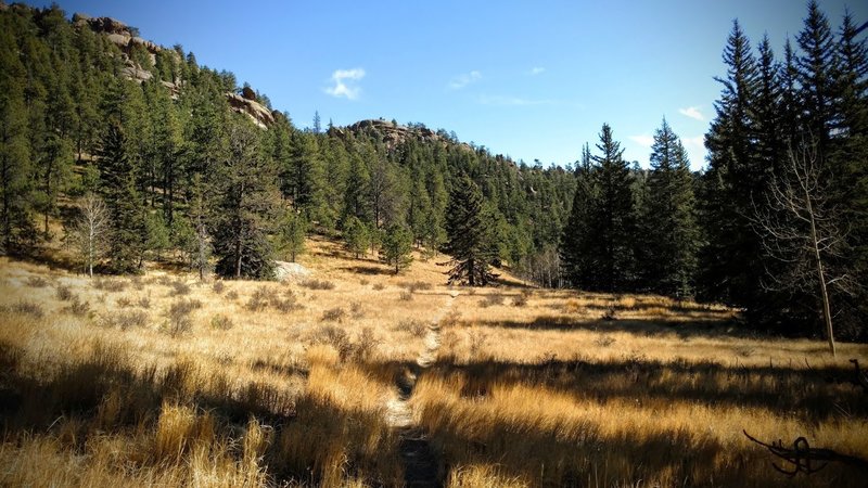 Meadow along French Creek Trail.