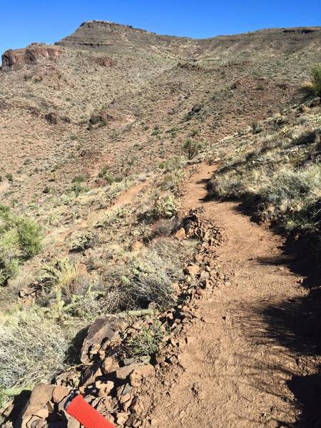 Looking towards Castlerock Trail up the ridgeline.