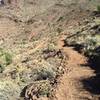 Looking towards Castlerock Trail up the ridgeline.