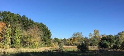 A beautiful field that you see on the way back.