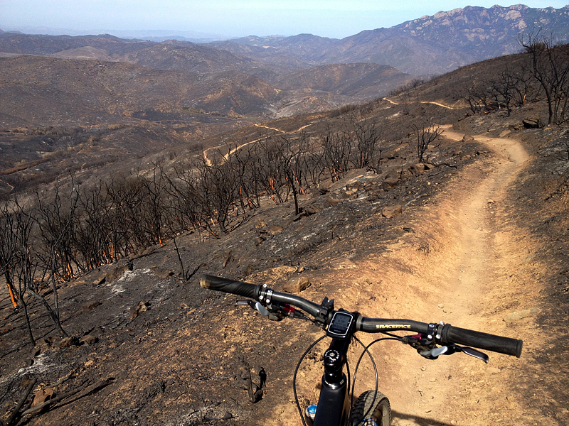 Burn area on Guadalasca Trail.