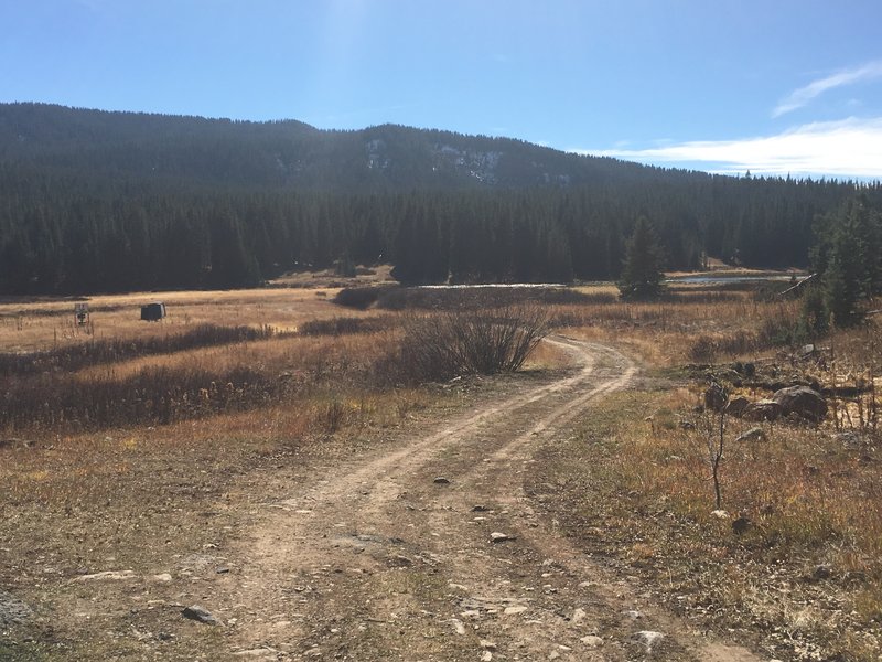 High atop the Middle Thompson Creek drainage.