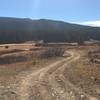 High atop the Middle Thompson Creek drainage.