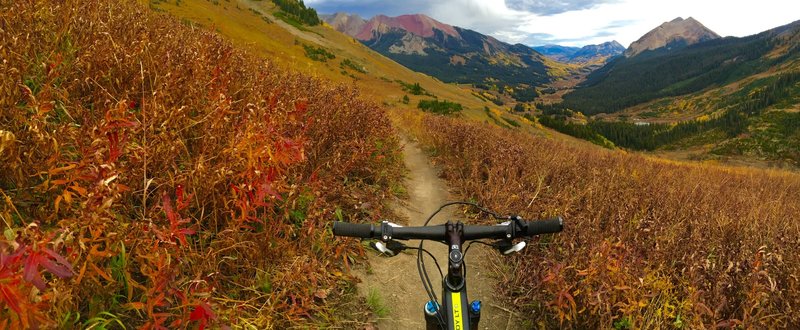 High on Trail 401 in the early fall 2016.