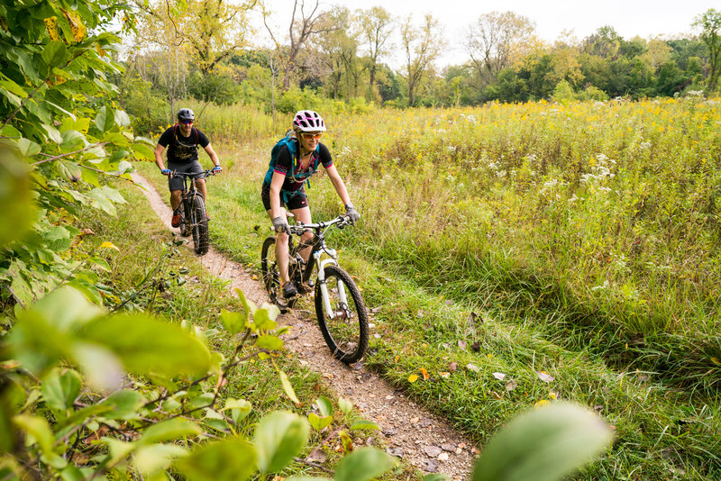 The Palos trails have a few pockets of meadows mixed in with all the dense forest.