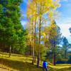 Along the Rio Cebolla Trail from Seven Springs Fish Hatchery in October 2016.