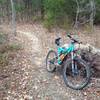 Truman Lake Trails keep getting better, lots to love here. And feel free to have fun!