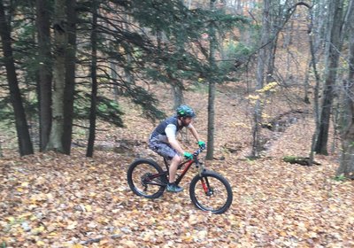 Riding by the creek and beautiful cedars!