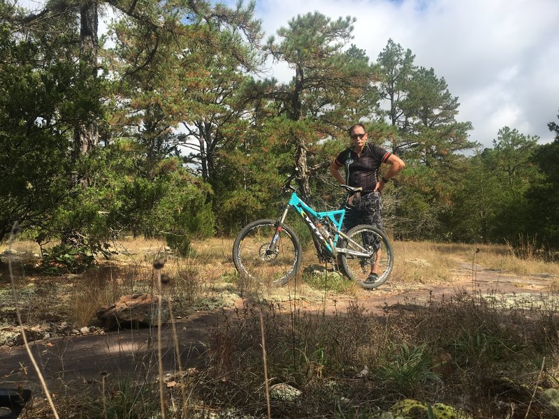 While most of the trail passes through woods, there are some stunning Ozark glade sections.