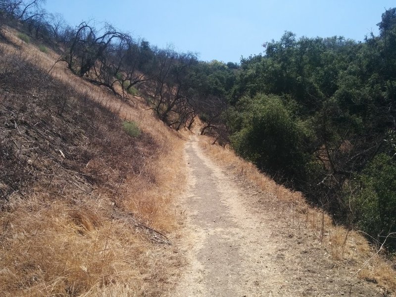 The trail heading uphill away from Grand Ave.