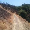 The trail heading uphill away from Grand Ave.