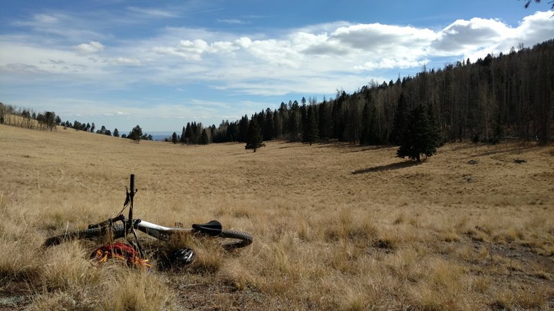 View looking down on the Canada Bonita meadow.