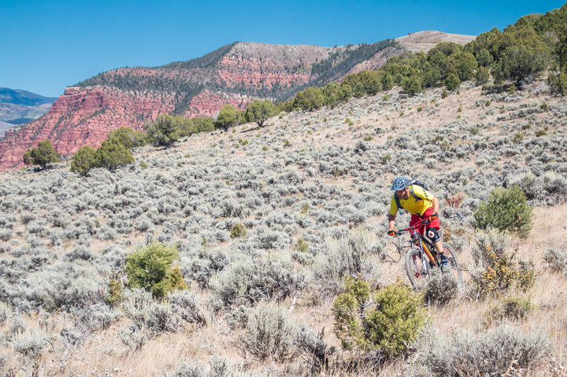 The Boneyard Trail in Eagle is a great climb... and descent!