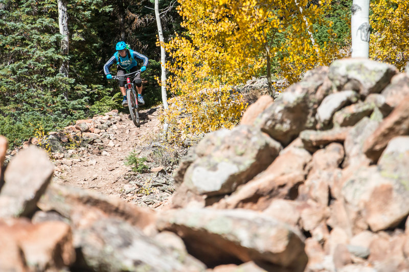 Just another amazing section of trail on Mt. Crested Butte!