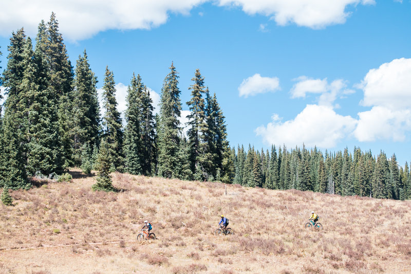 A small part of the incredible Bear Creek descent on RFBD.