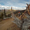 Late October on the Monarch Crest.