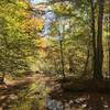 Along Spaas Creek in fall.