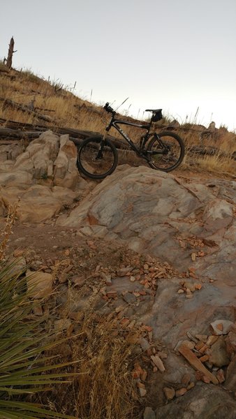 Bobcat Ridge.