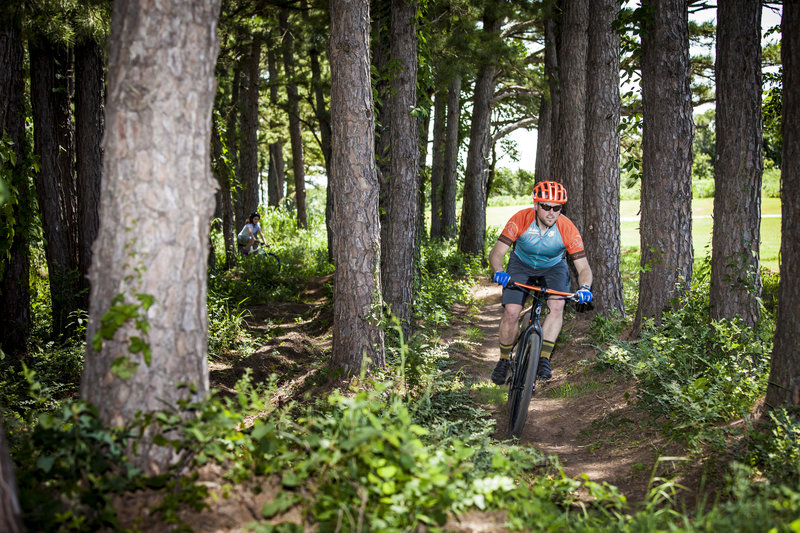 Through the pines on the dual slalom at Lake Carl Blackwell.