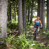 Through the pines on the dual slalom at Lake Carl Blackwell.