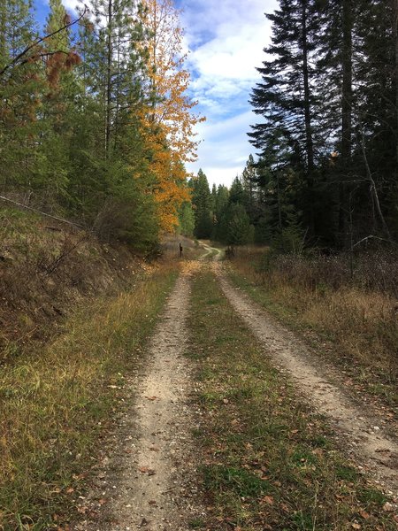 Beginning of the loop near the parking lot.