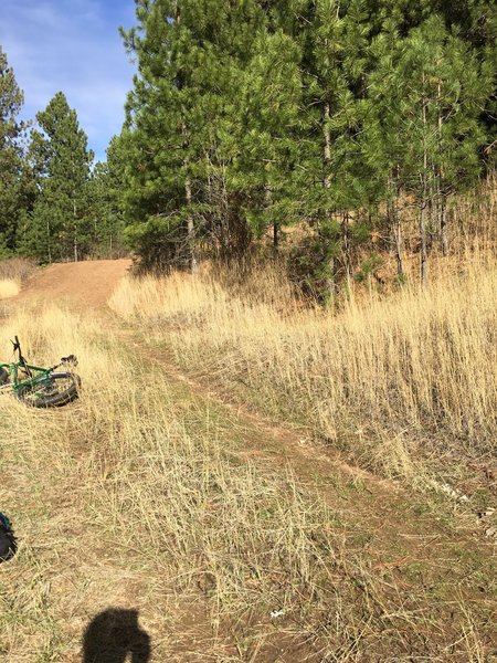 Trail goes hard right here and begins steepest climb.