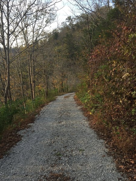 This is the Old Stage Road which is actually a service road to the bottom of the mountain.