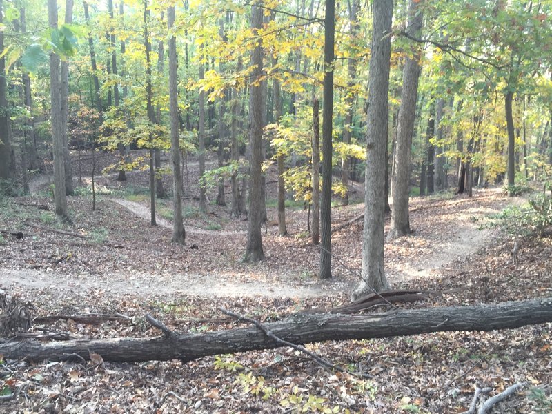 Power Station Loop in the fall.