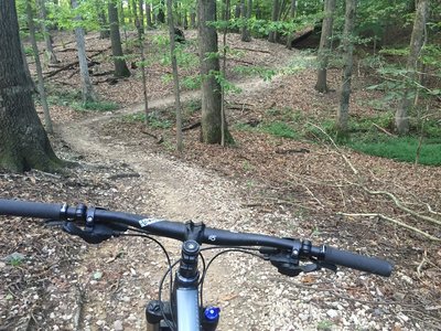 Laurel hill mountain bike clearance trails