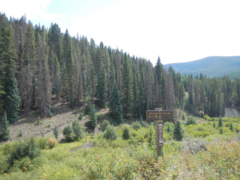 The northern end of Tank Seven Creek Trail No. 480, looking south from Marshall Pass Road.