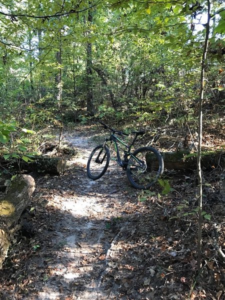 At the top of one of the longer climbs in the trails.