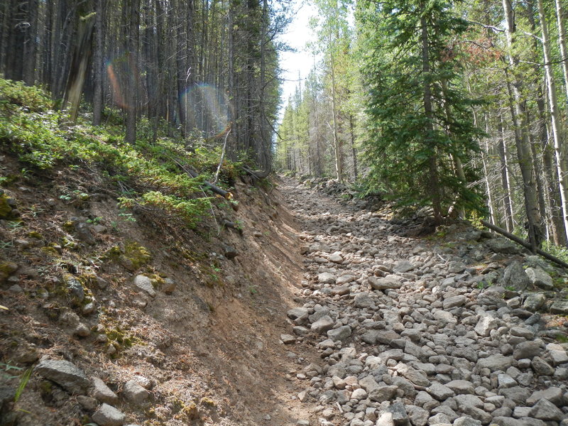 This is what you'll mostly face until you reach Sawmill Park, near section 16 of the Colorado Trail.