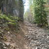 This is what you'll mostly face until you reach Sawmill Park, near section 16 of the Colorado Trail.