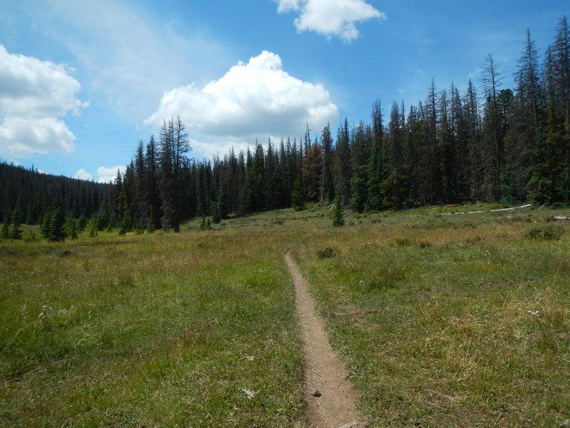 Junction of Forest Road No. 578 with the Colorado Trail, Segment 16.