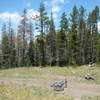 The brutal climb ends in the trees behind the faint doubletrack. Now Road 578 becomes a mellow, wide dirt road.