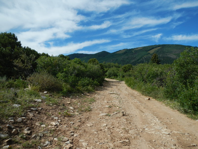 The sometimes technical doubletrack that begins the climb on Spring Creek Trail No. 159.