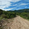 The sometimes technical doubletrack that begins the climb on Spring Creek Trail No. 159.