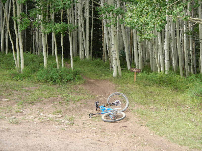 At this point you turn right off the doubletrack and onto the singletrack portion of Spring Creek Trail No. 159.