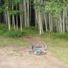 At this point you turn right off the doubletrack and onto the singletrack portion of Spring Creek Trail No. 159.