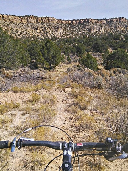 Heading west from the trailhead.