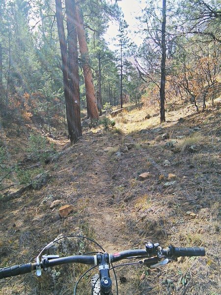 Canyon leading to Salazar Tank.