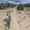 High desert singletrack.