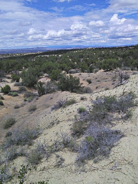 Looking north to the Colorado peaks.