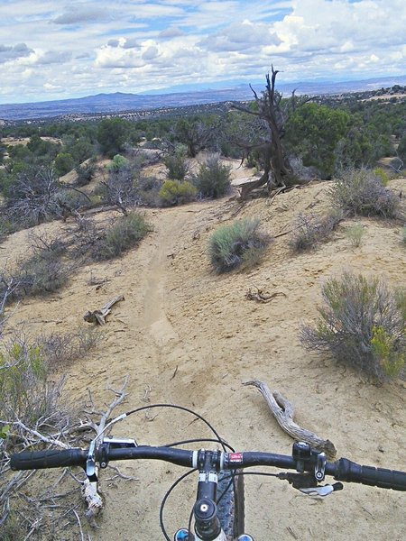 Winding singletrack.