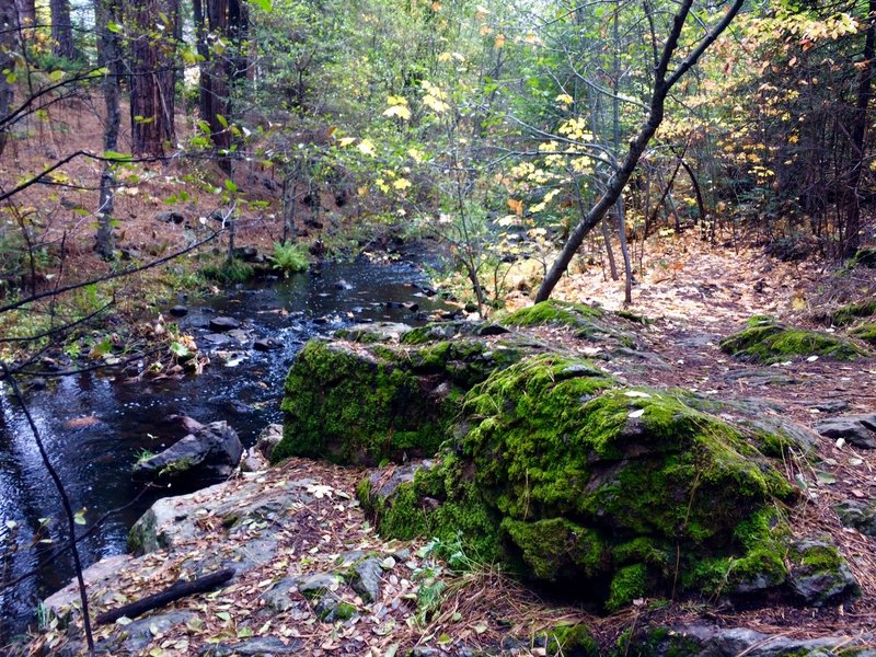 Creek ride.