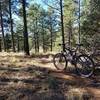 Walnut Canyon.